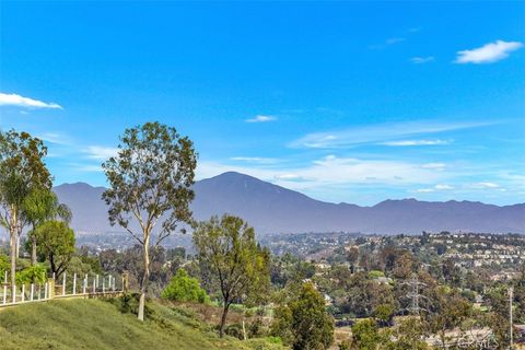 A home in Laguna Hills