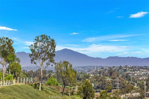 A home in Laguna Hills