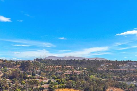 A home in Laguna Hills