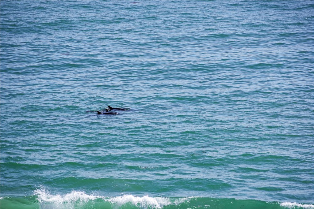 La Ladera - Residential Lease