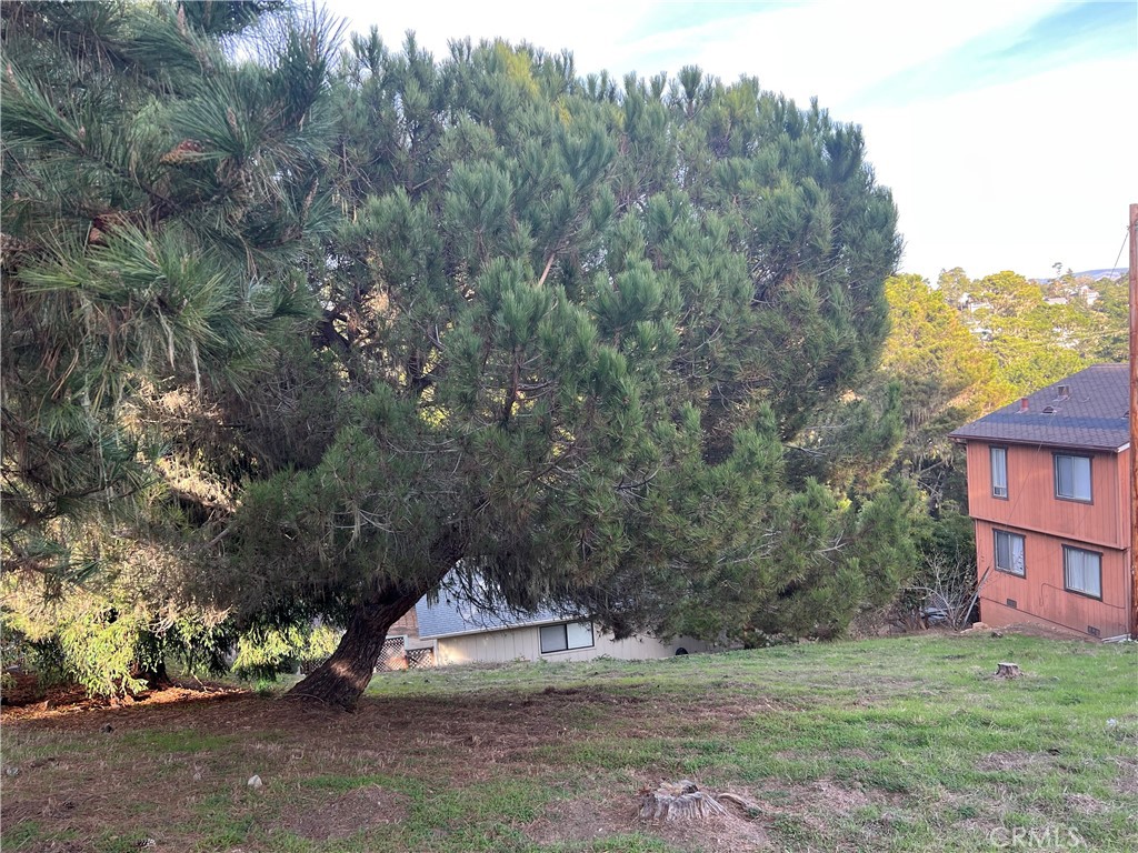 Park Hill(460) - Land