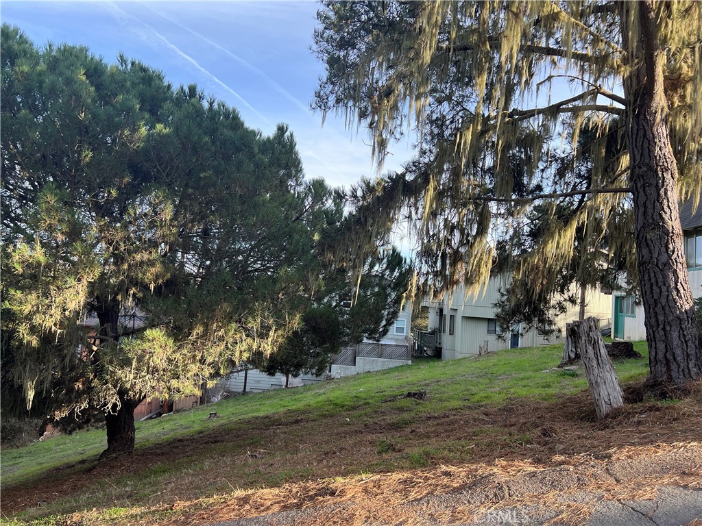 Park Hill double lot, 50'x70' includes #261 on CCSD water wait list. The adjoining double lot also for sale same asking price. Possible 4 lot parcel with 2 water positions! Located close to the 400+ acre Fiscalini Ranch Preserve and not far to the beach, West Village and Moonstone Beach Drive. Buy and Hold for now until the current building moratorium for new construction is lifted. Check CCSD and county websites (cambriacsd.org & slocounty.ca.gov) for info on the moratorium & allowable uses for property. Offered for $65,000, Owner May Carry.