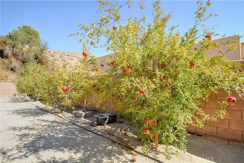 A home in Desert Hot Springs