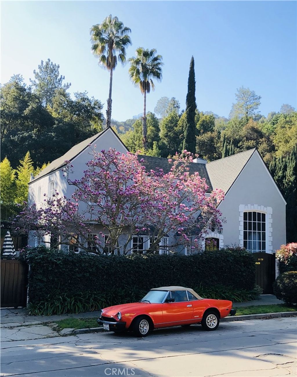 listing image 50