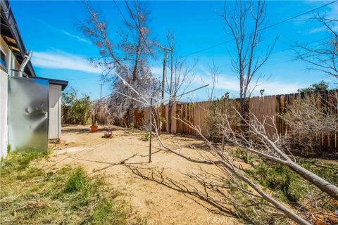 A home in Joshua Tree