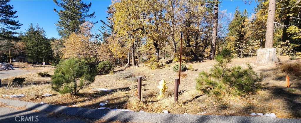 Tucked away in a quiet neighborhood on a quiet cul-de-sac, you’ll find this beautiful oversized lot surrounded by beautiful trees and upscale homes. The gentle slope allows for easy building and the location allows for great year round access. Situated central to Snow Valley Ski Resort, Sky Park At Santa’s Village and Hwy 330, you’ll enjoy all the best the mountain has to offer. It’s also walking distance to town, public transportation, the post office, the bank, the library and the park. Further, the bus stop and elementary school are just around the corner. Check out the attached proposed floorplan! Come up for the day and stay for a lifetime!