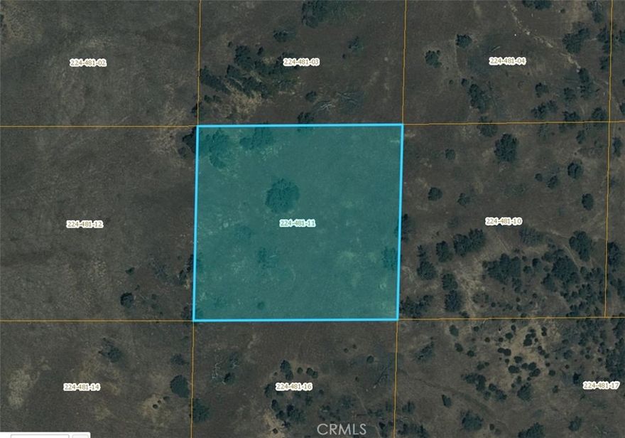 2.5 acres of vacant land.  Wind turbines on neighboring properties to the north.  Close to Hwy. 58 and the Tehachapi area.  APNs 224-481-05 & 224-481-10 also available.