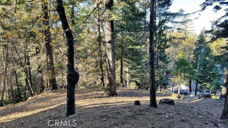 Gentle downslope lot located in the heart of historic Twin Peaks just a few minutes from Lake Arrowhead shops, dining and entertainment. Located on a county maintained road with all (water,sewer,gas,electric,phone,cable,internet) utilities at or near the street. Approx. 6,710 SQ FT of beautiful mountain land per county assessor. Gentle downslope from the street should allow for an ideal level entry home with beautiful distant ridge views. Come build your mountain dream home today!