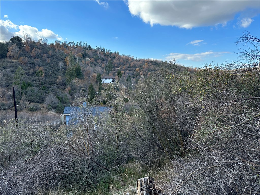 Cedar Glen (CEDG) - Land