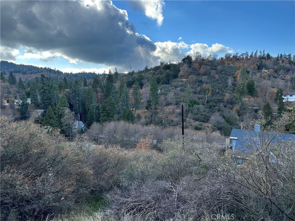 Cedar Glen (CEDG) - Land