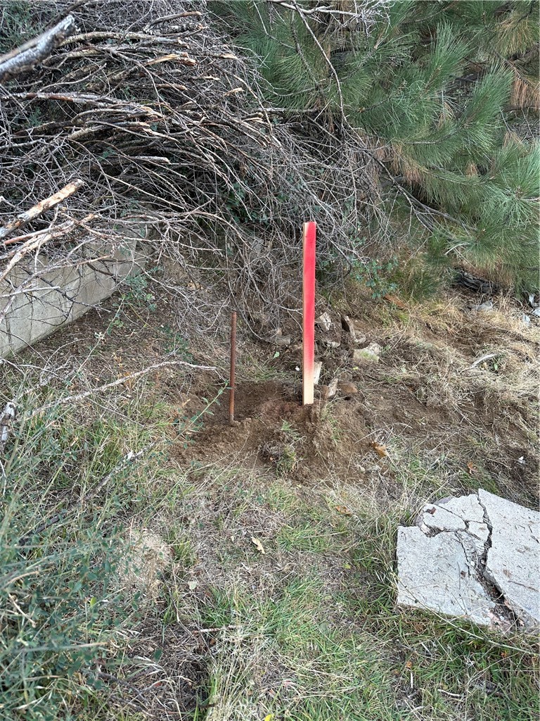 Cedar Glen (CEDG) - Land