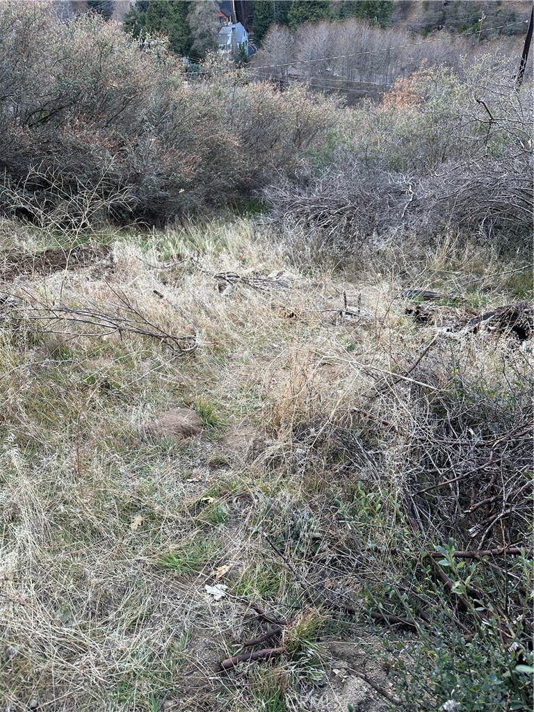 Cedar Glen (CEDG) - Land