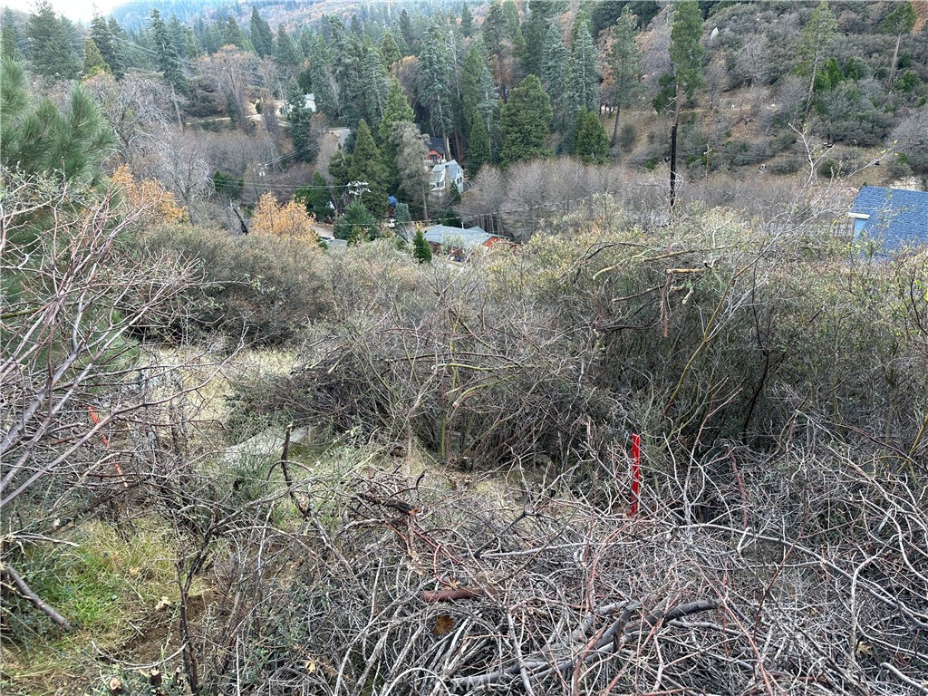 Cedar Glen (CEDG) - Land