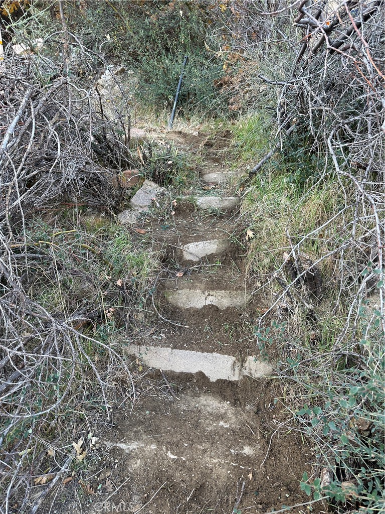 Cedar Glen (CEDG) - Land