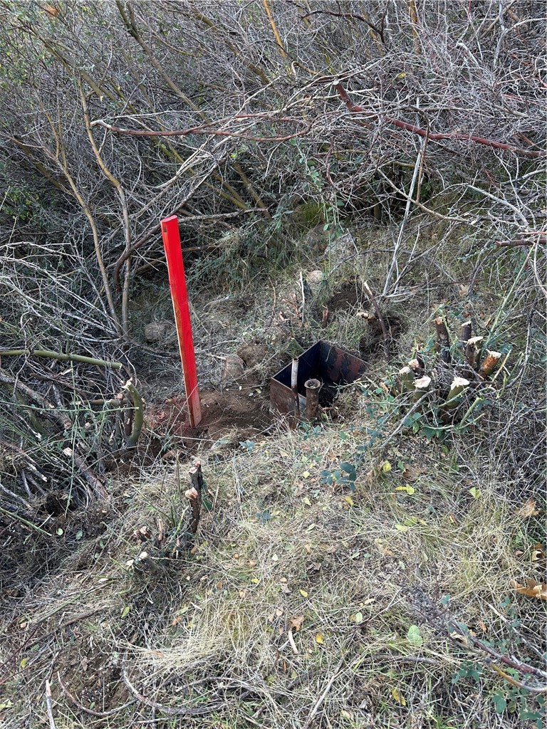 Cedar Glen (CEDG) - Land