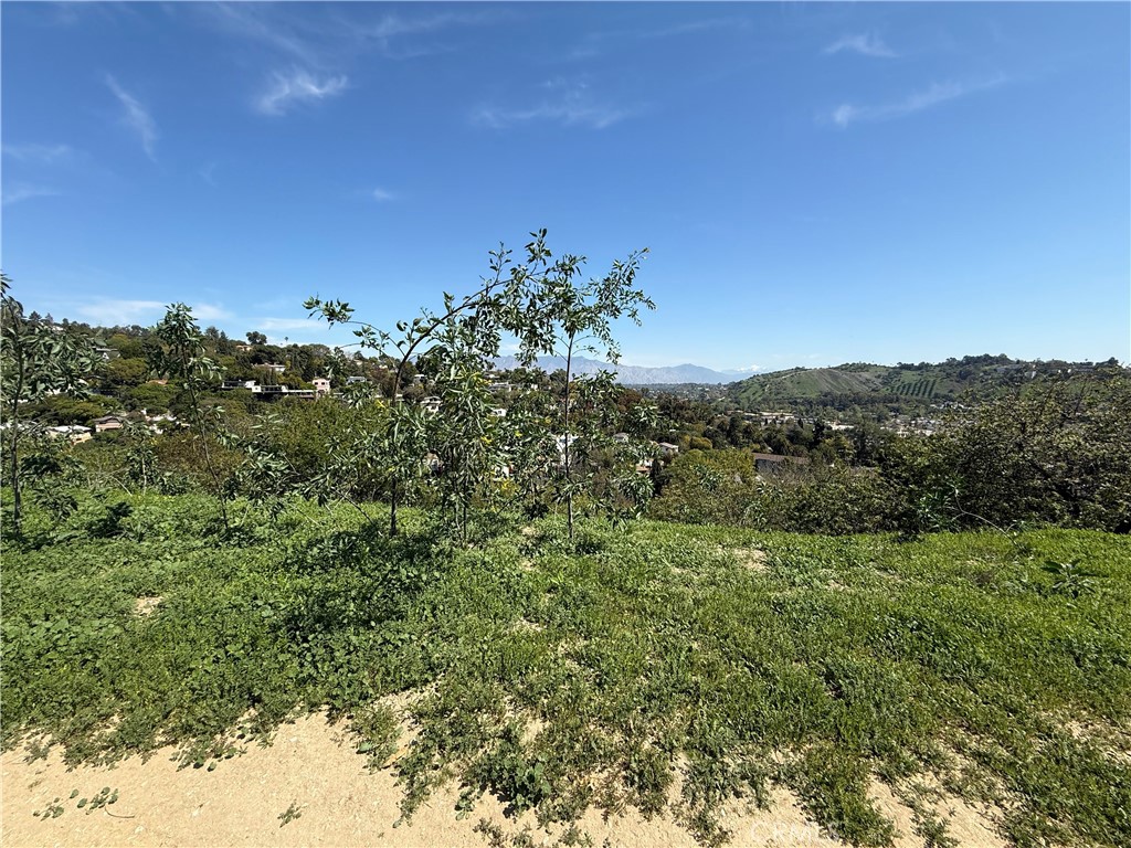 Perched high in the sought-after Mount Washington neighborhood, this exceptional lot offers the rare opportunity to build your dream home surrounded by nature and breathtaking vistas. Ideally positioned, the property boasts sweeping, unobstructed views of city lights, canyon hillsides, and endless sky — a perfect backdrop for morning coffee or sunset gatherings.
Enjoy the serenity of a secluded hillside community just minutes from Highland Park, Eagle Rock, and DTLA. Whether you're a developer or a future homeowner, this lot promises the best of both worlds: peaceful mountain living with urban convenience.
Don’t miss your chance to own a piece of one of LA’s most artistic and desirable enclaves.
Seller may carry with $10,000 down payment.