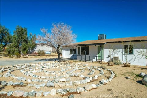 A home in Joshua Tree