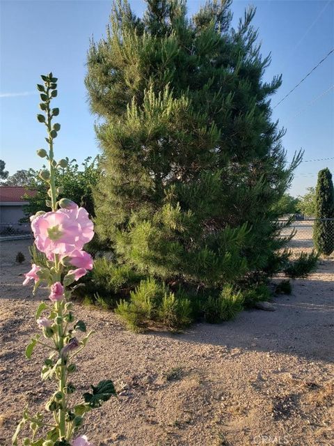 A home in Hesperia