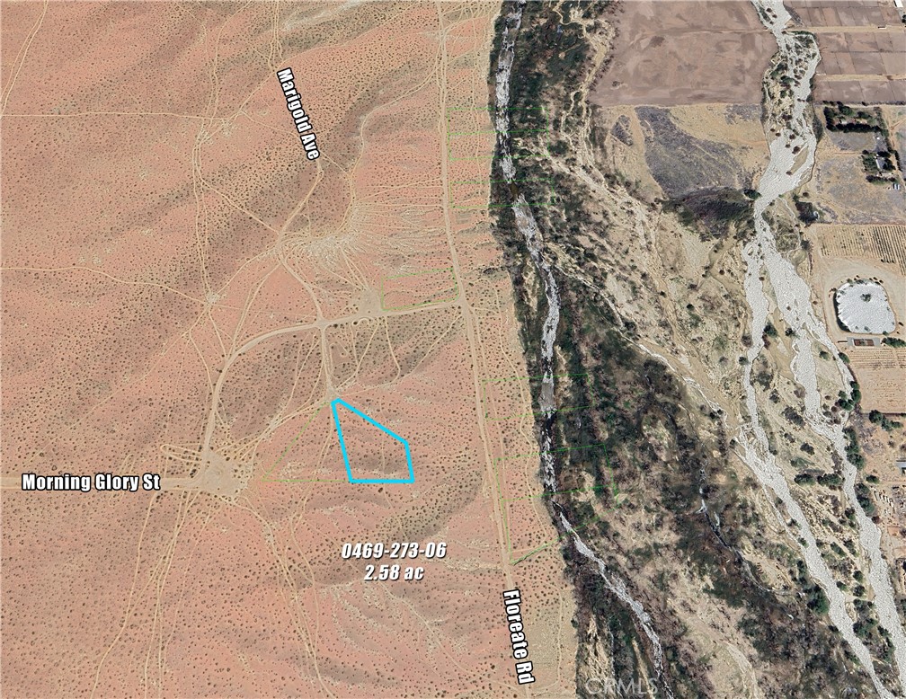 2.58 ac Rural Living cul-de-sac parcel on Marigold Ave in Oro Grande/Adelanto. Floreate Rd runs along west side of Mojave River, which flows above ground in this area. Access via Hwy 395 to Colusa Rd, to Helendale Rd, to Purple Sage/Morning Glory to Marigold. 4x4 Vehicle recommended. Seclusion and the River call you. 9 Lots total available on/off Floreate (6 on River, 3 off). Please contact Listing Agent for more information.