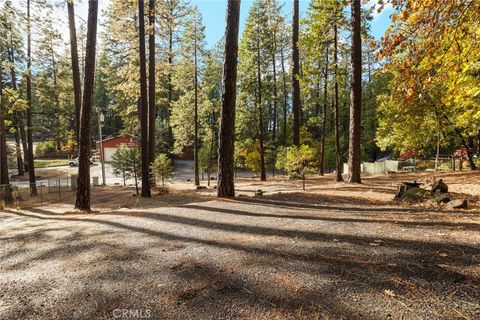 A home in Forest Ranch