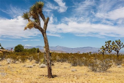 A home in Joshua Tree