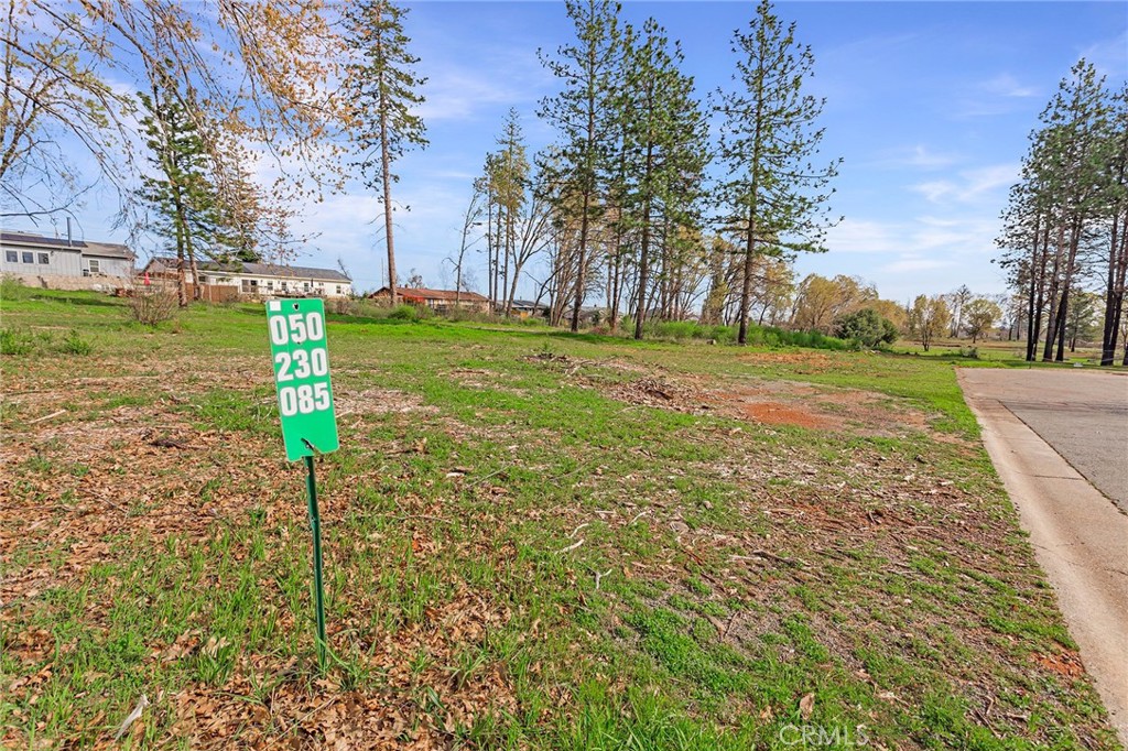 It's time for you to shine! Amazing acreage. Wouldn't you love to have this kind of usable space to create your forever home, or several homes for family or friends. This 11.13 acre piece could be a private estate, way back off the road, or several estates as one owner was thinking, or a subdivision that the original owner was imagining. What are you dreaming of doing with this much land? Buyers, talk to the town to see what possibilities there are here. Be the creator of a unique, wonderful place in Paradise. Buyers do the investigations, inspections needed to satisfy their needs. Start by exploring the town records and all that has been done in the past. Make 2025 your year to shine here in Paradise.