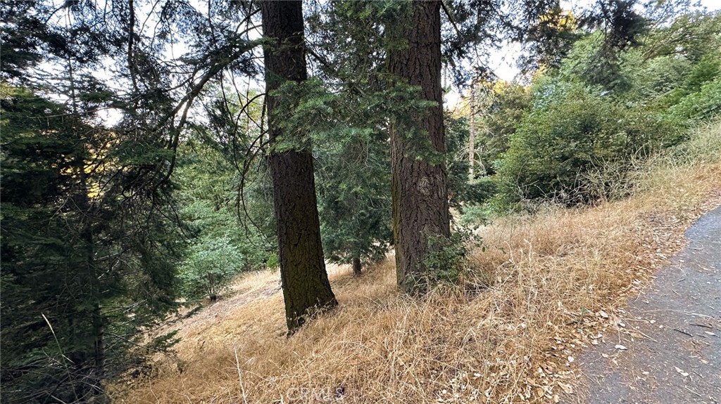 Located in the beautiful community of the Rim of the World. Located near Lake Gregory and Lake Arrowhead. Many tourists enjoy boating, swimming and kayaking, mountain biking in the warmer months. During the winter you are close to Lake Arrowhead Ski resort, Bear Mountain and Snow Summit.
Lot 100" x 58 x 118' is Triangular in shape and approximately 2960 Square feet. Zip code:93222, Zoning CF/RS-14M School District: Rim of the World Community College, District Code: San Bernardino Vally J, TGNO: 516-D1, Census tract:108.02, Topography: Slope, Neighborhood Code: 605-605, APN: 0342-255-38-0000, Tax Area: 105025, Tax Appraisal Area: 17 Lot: 70 Legal Description: Cedar pines Park Lot 70 BLK 2 Water Tax Dist.: Crestline, Lake Arrowhead Fire Dept. Tax Dist.: Crest Forest