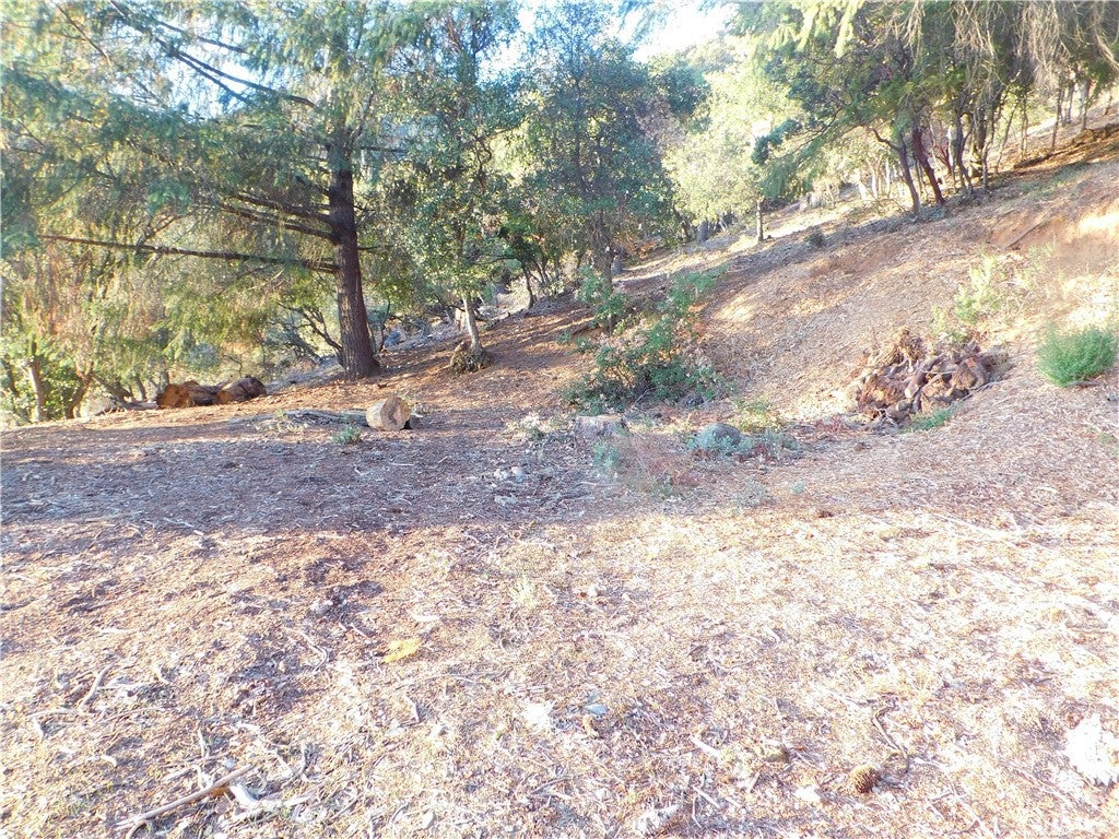 8431 Mountain Crest Drive