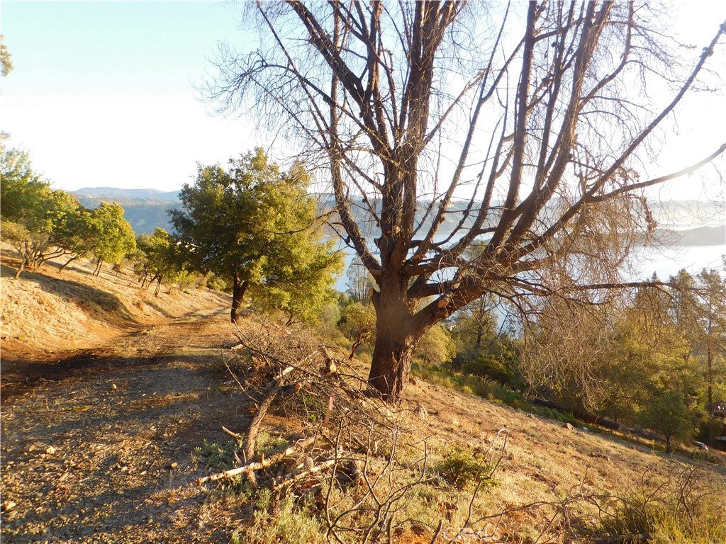 8431 Mountain Crest Drive