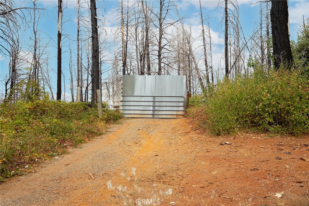 Great opportunity to own 3 separate parcels totaling 7.5 acres of usable space with endless privacy. Enjoy the peace and quiet while being surrounded by nature. “Each parcel is 2.5 acres.” The seller added a well and a shed for storage on the first parcel. Located just 10-minute drive to Lake Oroville and 25 minutes into town, this property is located perfectly for all your outdoor recreation hobbies! Call your favorite Realtor today!
Seller is willing to consider seller financing with a minimum $50,000 down. "Open to terms"