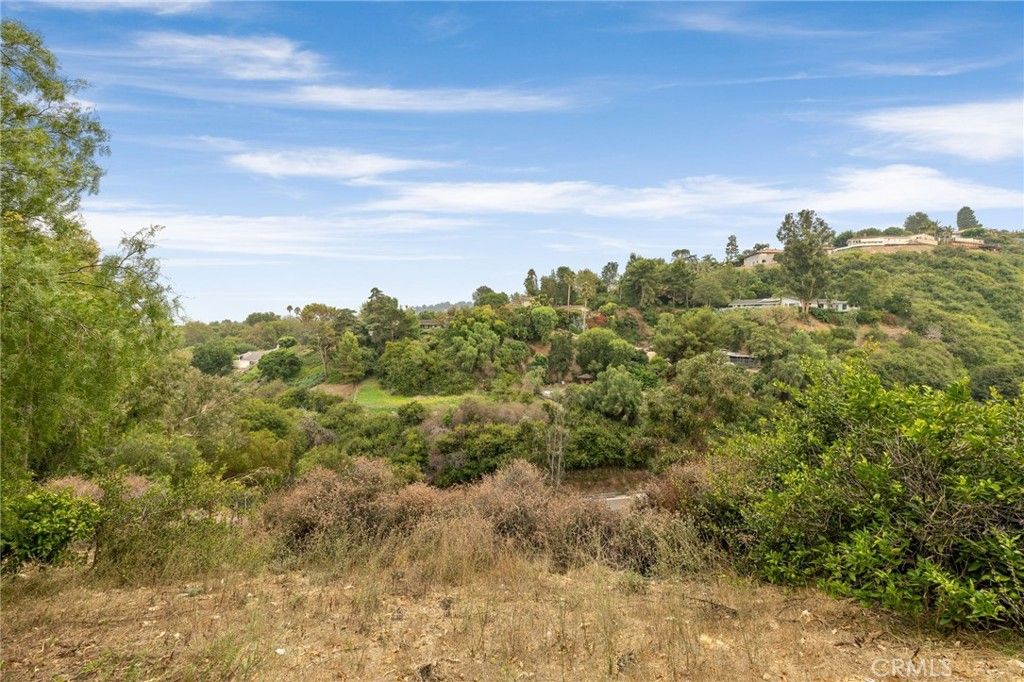 listing image 130722248891951075783