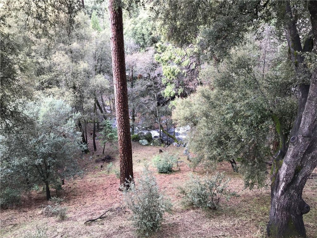 listing image 130720831411598364671