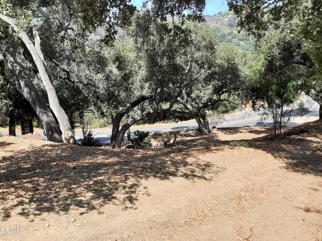 1006 N Topanga Canyon Boulevard