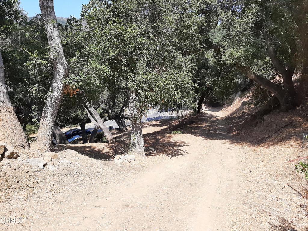 1006 N Topanga Canyon Boulevard