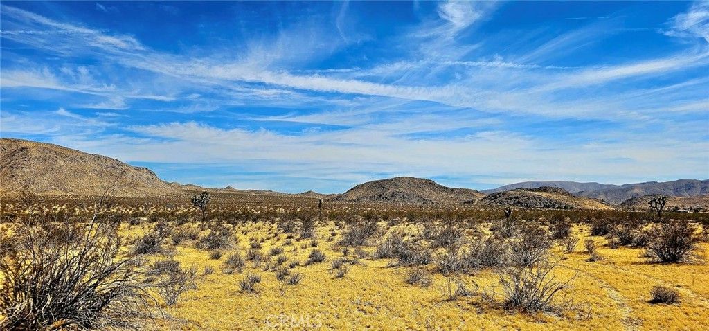 listing image 130723489535369412601
