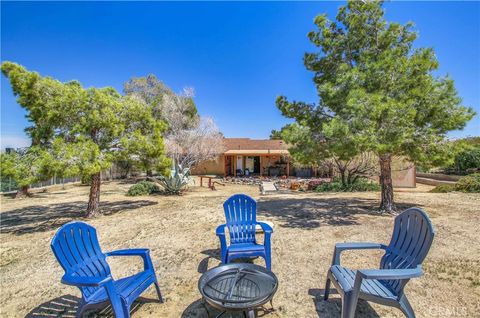 A home in Joshua Tree