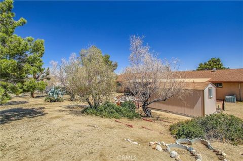 A home in Joshua Tree