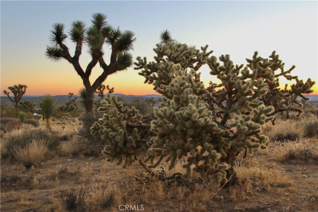 Discover a rare opportunity in the Upper Friendly Hills section of Joshua Tree, where three separate parcels spanning five acres await your vision. This unique property, with three distinct APNs, offers the perfect canvas for your dream home or investment. Electricity and water is available on the property, per the seller, though buyers are encouraged to verify all other utilities.
Situated in a serene part of Joshua Tree, you'll be close to the natural wonders and cultural attractions that make this area so special. Spend your days exploring the breathtaking Joshua Tree National Park, known for its stunning rock formations and vibrant desert flora. Nearby, you'll find a thriving arts community, eclectic shops, and local dining options that capture the spirit of this unique desert town.
Whether you're an outdoor enthusiast, an artist seeking inspiration, or someone looking for a tranquil retreat, this property provides an exceptional starting point. Embrace the tranquil desert lifestyle and create your own oasis in one of Southern California's most cherished locales.