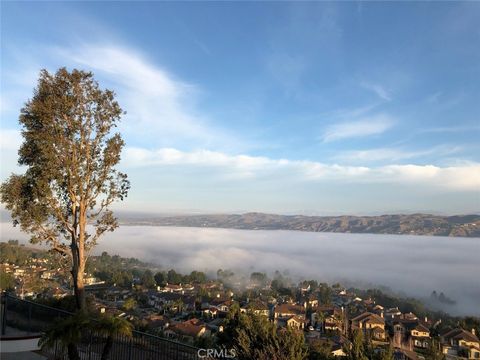 A home in Anaheim Hills