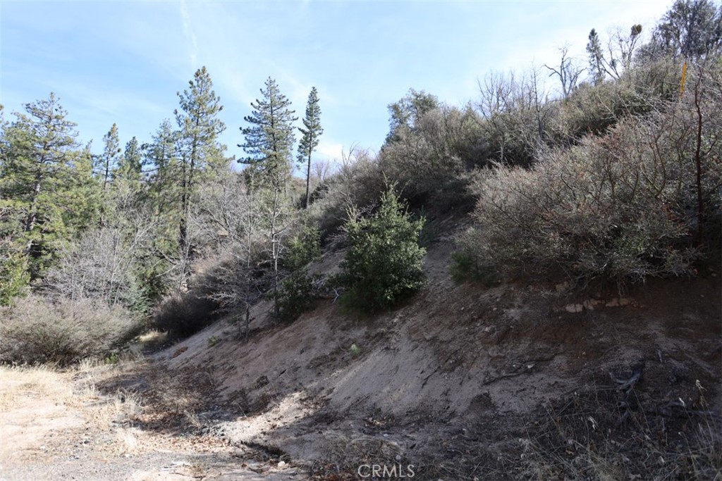 Cedar Glen (CEDG) - Land