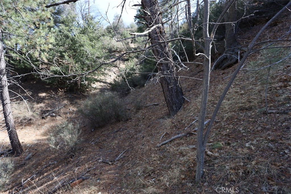 Cedar Glen (CEDG) - Land