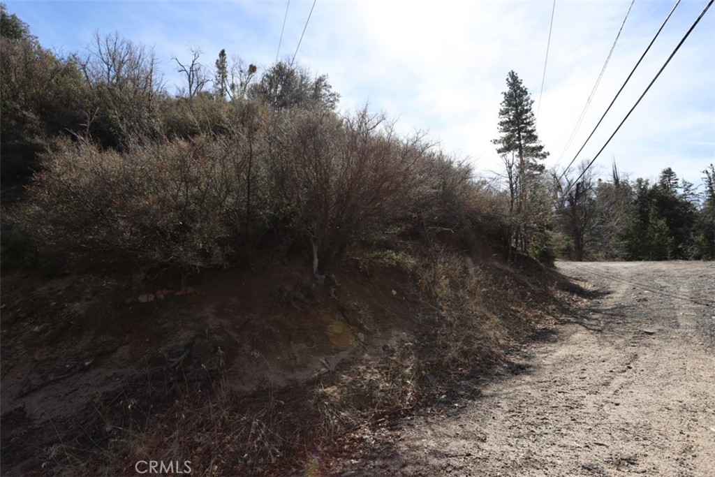 Cedar Glen (CEDG) - Land