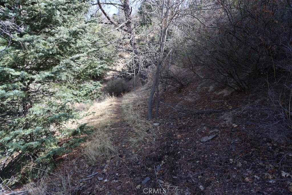 Cedar Glen (CEDG) - Land