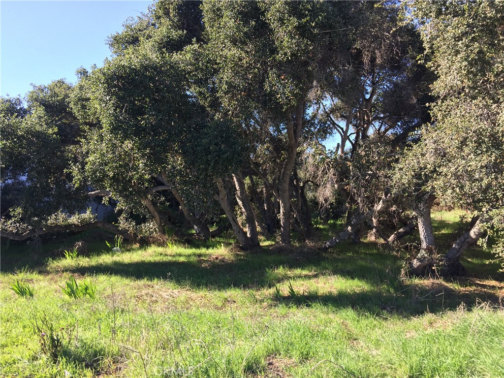 In the heart of the business district, here is 9,375 square feet of commercial land in Los Osos! Located on a main street across from popular restaurants and businesses. *Buyer to verify the possibility of building with SLO County Planning Dept.