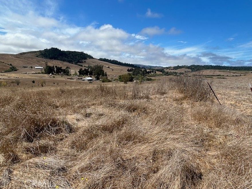 Stunning 30 acre parcel. Private and secluded, with amazing panoramic views .

An absolutely beautiful spot to build your Estate home. Room for horses, cows

and 4-H projects. Located just minutes from Bodega Bay and or Dillion beach, so

there are greats restaurants and and fun places to go nearby. Just a short haul to

ride your horse on the beach, or just enjoy the ocean. This property has been in

the same family for nearly 50 years, so properties like this don't come along very

often. It must be seen to be fully appreciated. Dont miss this once in a lift time

opportunity to own such a magical place