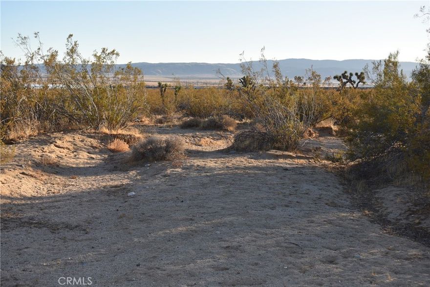 Two adjacent 2.5 acre residential lots being sold together for a total of 5 acres. Both lots have frontage on Astoria Ave at 193rd Street West. Sale includes APN 261-241-11 & 12. Zoned A for agriculture, animals, and a residence. Enjoy the peaceful desert views. Located about 5 miles from the Wee Vill Market for groceries and food.