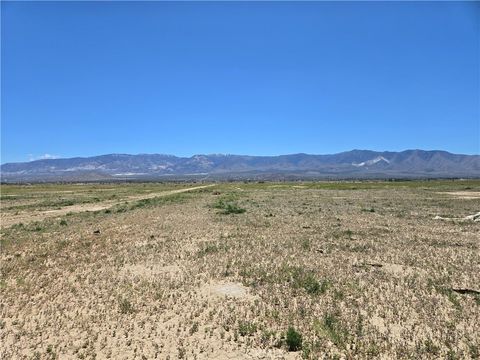Photo of 0 Wilderness Road, Lucerne Valley, CA 92356 (MLS # EV24157480)