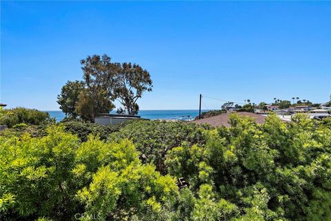 A home in Laguna Beach