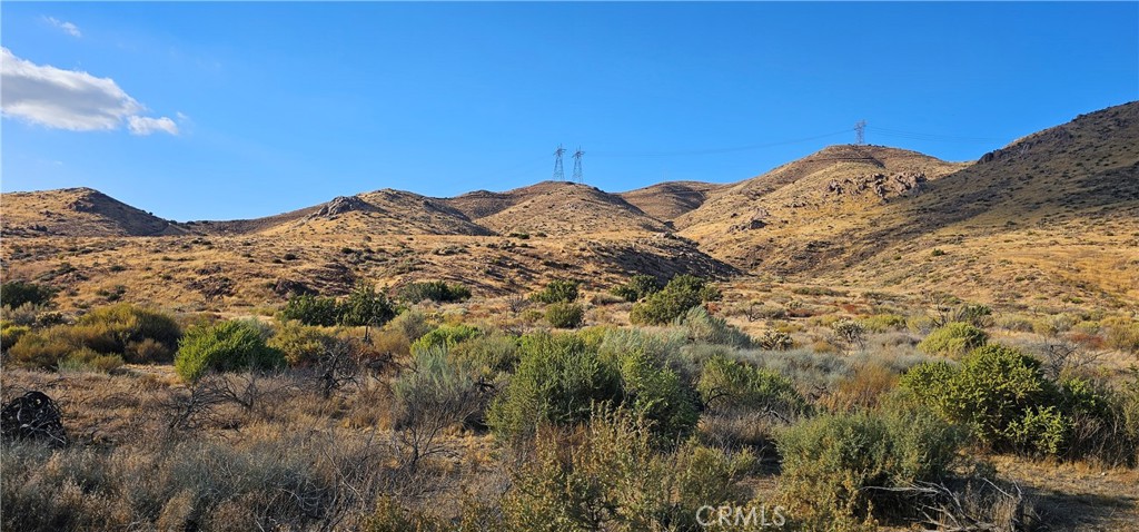 Custom Acton (CACTO) - Land