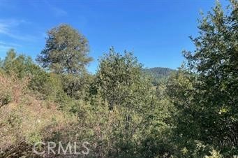 Cedar Glen (CEDG) - Land